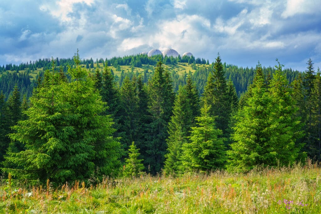 Еколого-туристичний маршрут «Дорогою до небес»