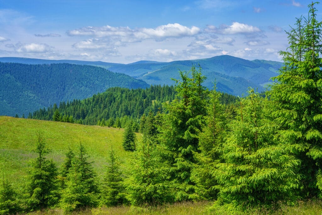 Екологічна стежка «Полонинські мандри»