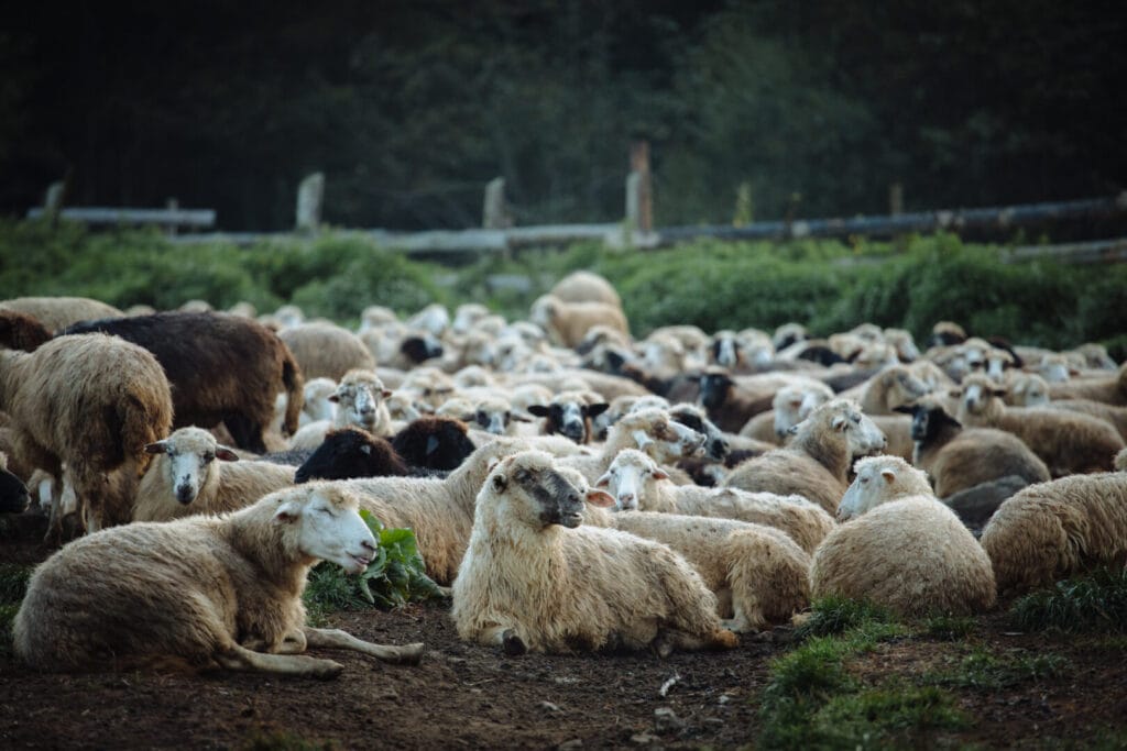 Науково-пізнавальна екологічна стежка «Знай, люби, оберігай»
